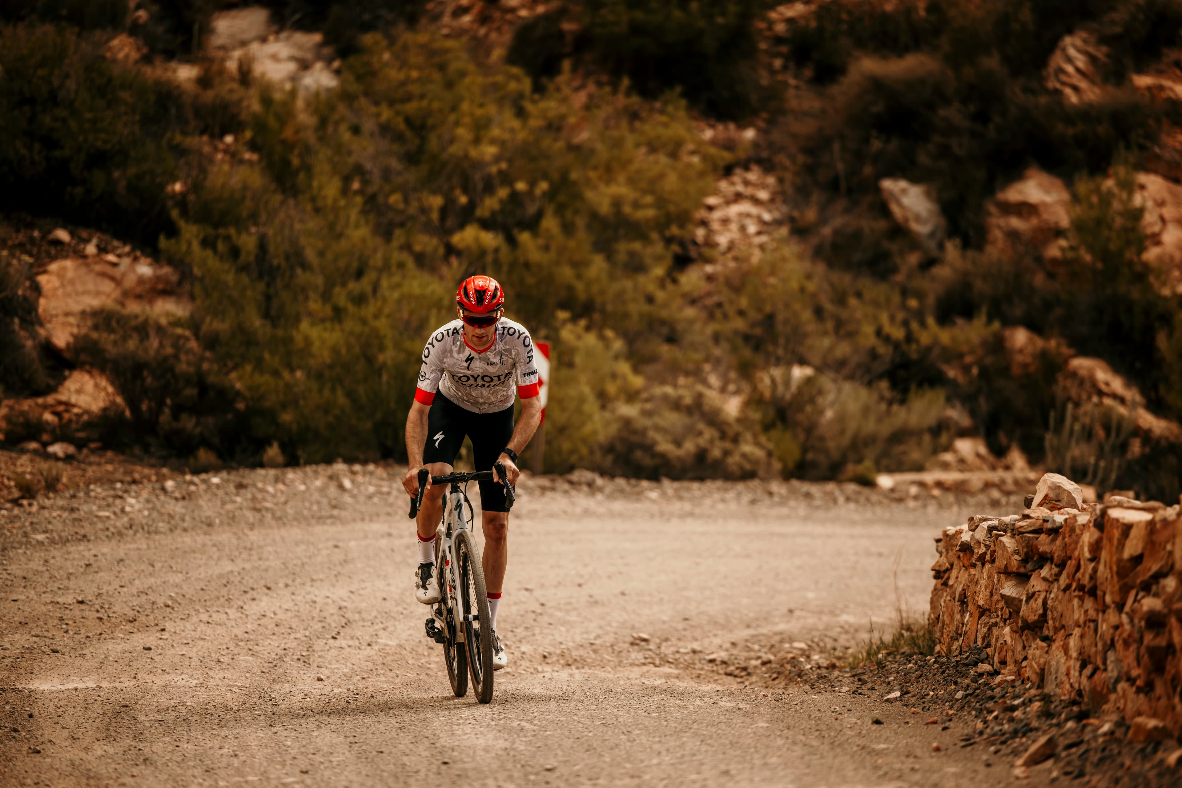 Fietsreizen voor bedrijven